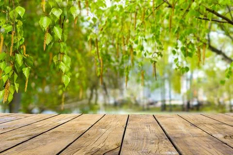 Wooden table with spring forest, spring season concept. Stock Photos