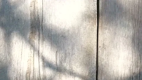 Wooden table on which the rays Stock Footage 229767901