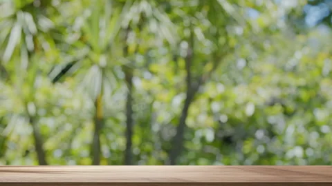 Wooden tabletop with a softly blurred, looping background of tropical palm. Stock Footage 342397311