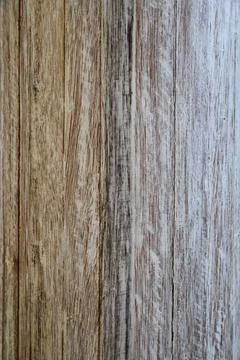 Wooden Texture Background Gradient of Tree Closeup Stock Photos
