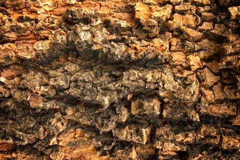 Wooden texture background Stock Photos