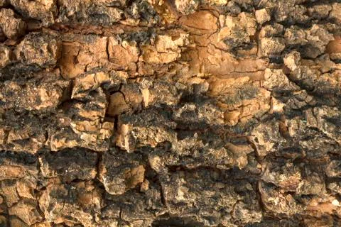 Wooden texture background Foto stock