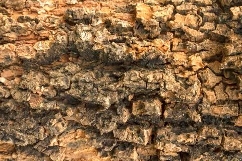 Wooden texture background Stock Photos