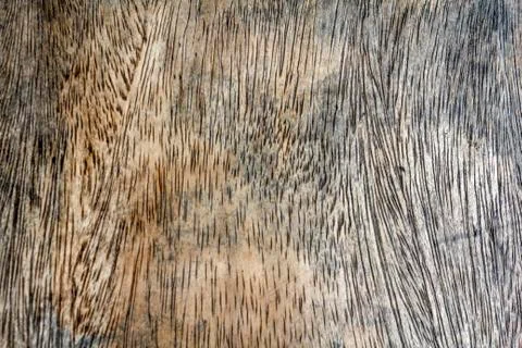 Wooden texture background Stock Photos