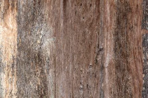 Wooden texture background Stock Photos