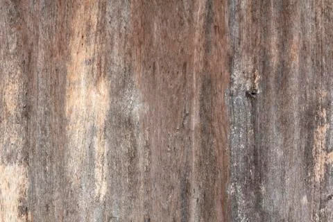 Wooden texture background Stock Photos