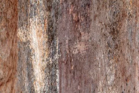 Wooden texture background Stock Photos