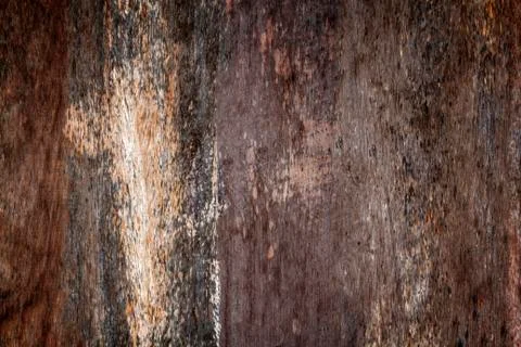 Wooden texture background Stock Photos