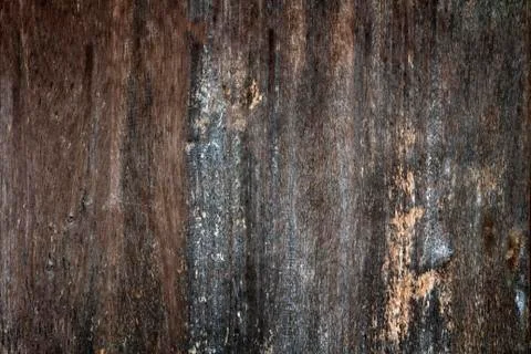 Wooden texture background Stock Photos