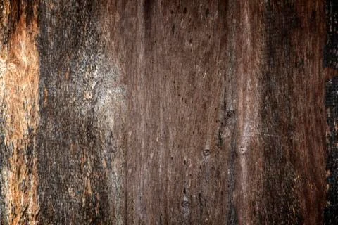 Wooden texture background Foto stock