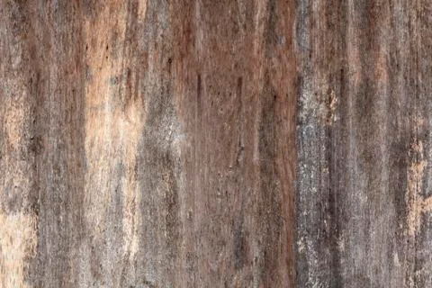 Wooden texture background Stock Photos