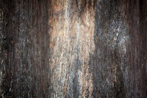 Wooden texture background Stock Photos