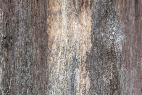 Wooden texture background Stock Photos