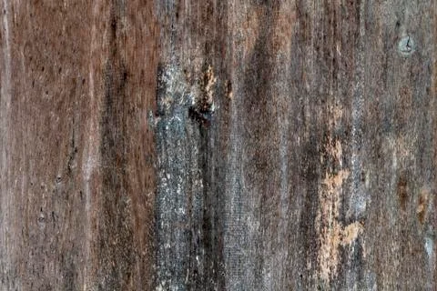 Wooden texture background Stock Photos