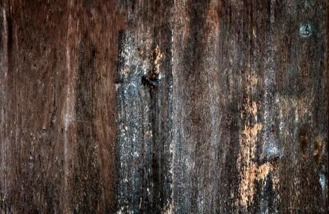 Wooden texture background Stock Photos