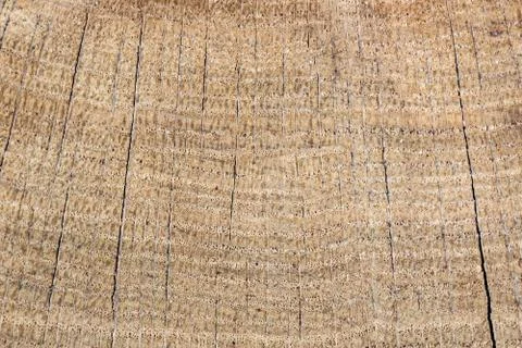 Wooden texture for the background Stock-Fotos
