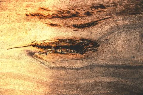 Wooden texture background. Stock Photos