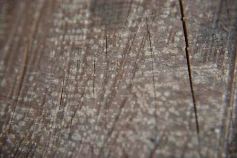 Wooden texture background Stock Photos