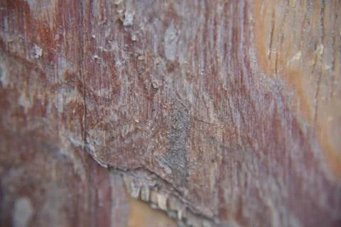 Wooden texture background Stock Photos