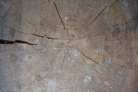 Wooden texture background Stock Photos
