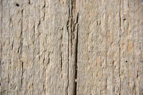 Wooden texture background Stock Photos