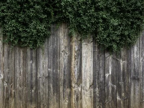 Wooden texture background. Stock Photos