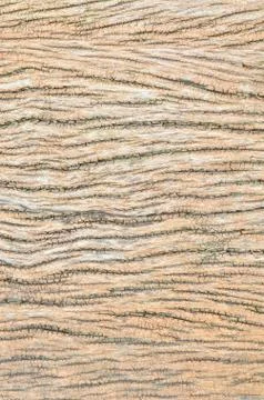 Wooden texture - a bark of an old tree Stock Photos