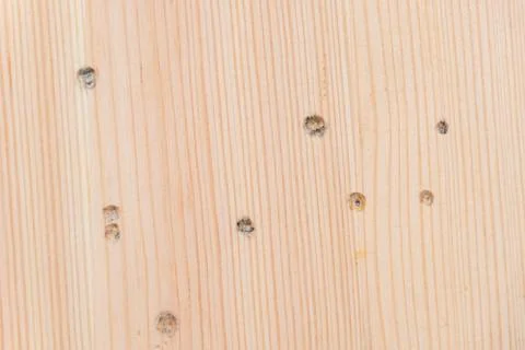 Wooden texture bright surface of pine wood used with drill holes Stock Photos