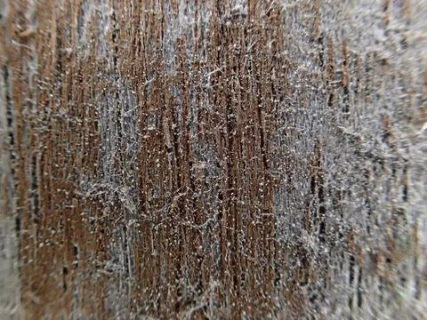 Wooden texture close up pattern Stock Photos