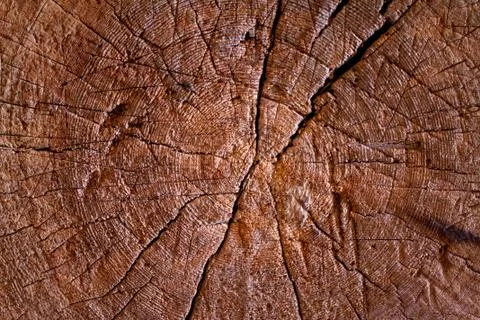 Wooden texture empty horizontal surface. Wooden vintage background. Stock Photos