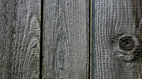 Wooden texture Stock Footage 40810818
