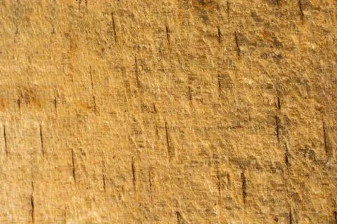 Wooden texture with natural patterns Stock Photos