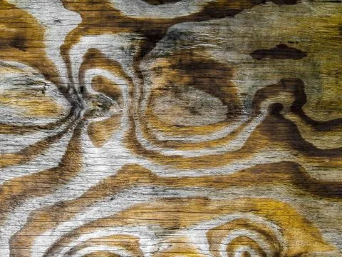 Wooden texture pattern background seamless pattern design Stock Photos