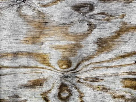 Wooden texture pattern background seamless pattern design Stock Photos