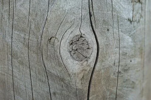 Wooden texture pattern Stock Photos