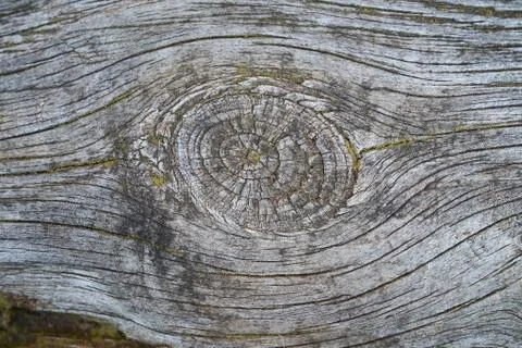 Wooden texture pattern Stock Photos