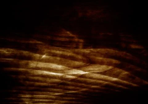 Wooden texture Stock Photos