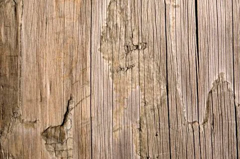 Wooden texture Stock Photos