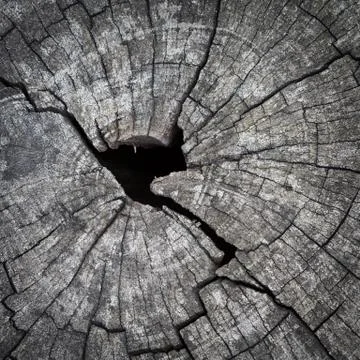 Wooden texture Stock Photos