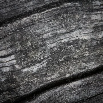 Wooden texture Stock Photos