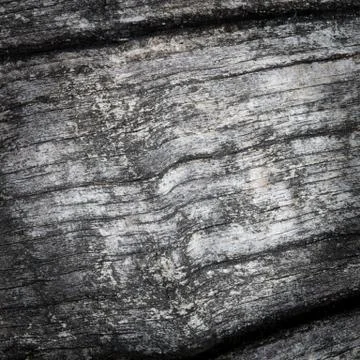 Wooden texture Stock Photos