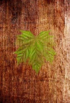 Wooden texture Stock Photos