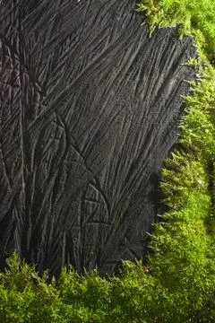 Wooden texture Stock Photos