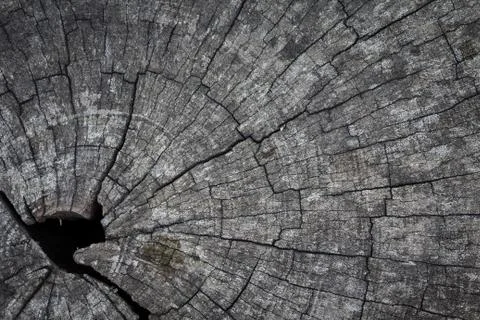 Wooden texture Stock Photos