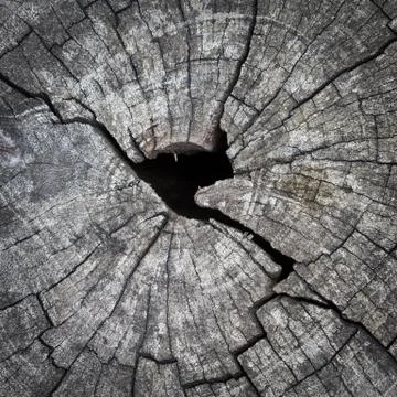 Wooden texture Stock Photos