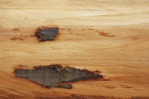 Wooden texture Stock Photos