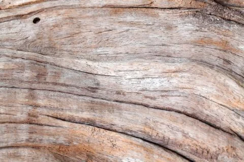 Wooden texture Stock Photos