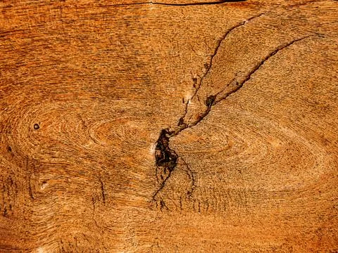 Wooden texture Stock Photos