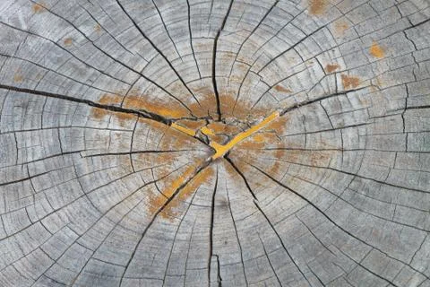Wooden texture Foto stock