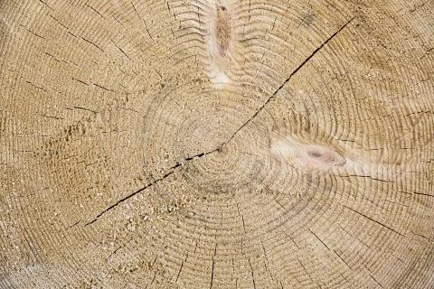 Wooden texture Stock Photos